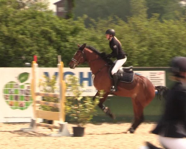 Reitturnier Langwedel - Hagen - Grinden 2019