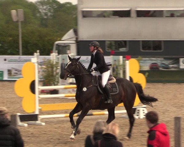 Reitturnier Langwedel - Hagen - Grinden 2019