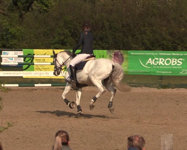Reitturnier Langwedel - Hagen - Grinden 2019