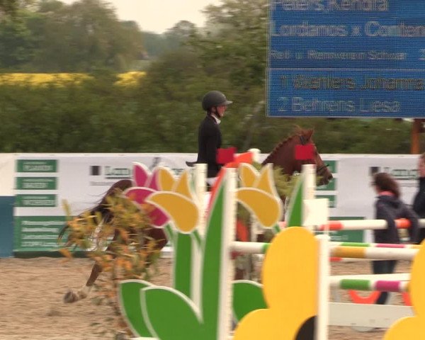 Reitturnier Langwedel - Hagen - Grinden 2019