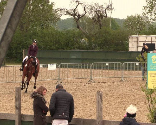 Reitturnier Langwedel - Hagen - Grinden 2019