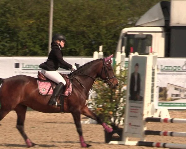 Reitturnier Langwedel - Hagen - Grinden 2019