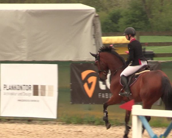 Reitturnier Langwedel - Hagen - Grinden 2019