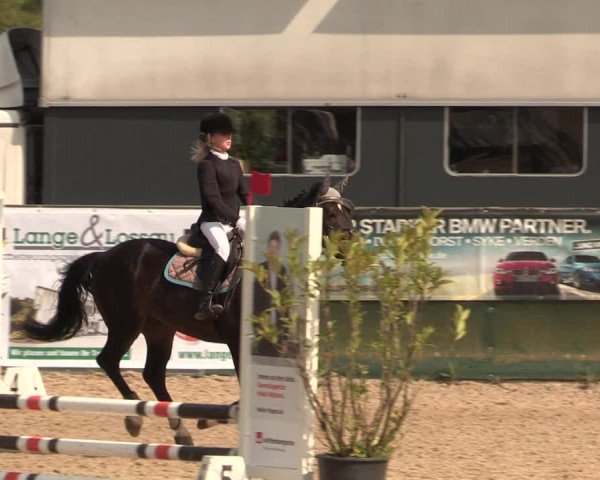 Reitturnier Langwedel - Hagen - Grinden 2019