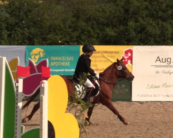 Reitturnier Langwedel - Hagen - Grinden 2019