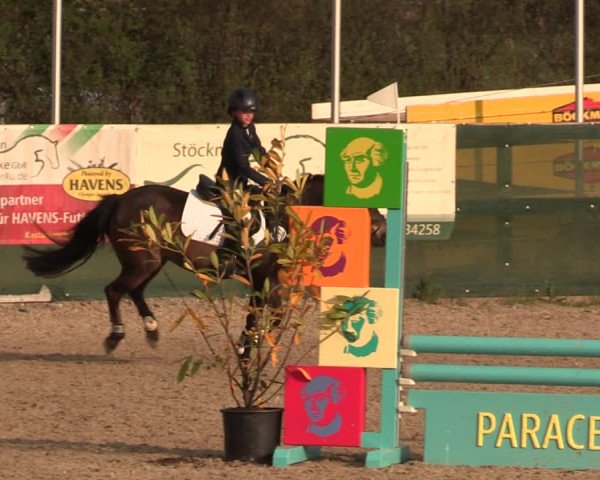 Reitturnier Langwedel - Hagen - Grinden 2019