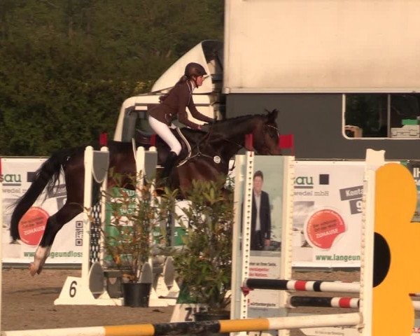 Reitturnier Langwedel - Hagen - Grinden 2019