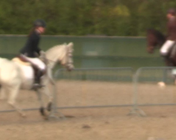 Reitturnier Langwedel - Hagen - Grinden 2019