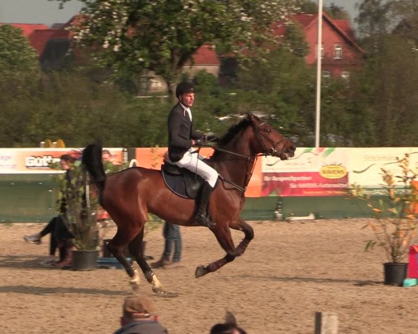 Reitturnier Langwedel - Hagen - Grinden 2019