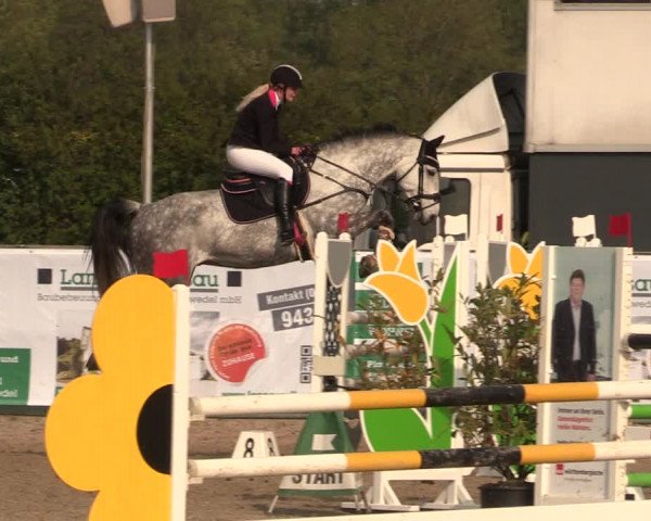 Reitturnier Langwedel - Hagen - Grinden 2019