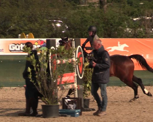 Reitturnier Langwedel - Hagen - Grinden 2019