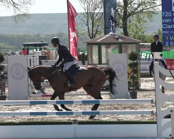 Reitturnier Werne-Lenklar 2019