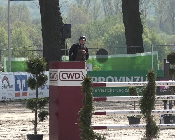 Lenklarer Reitertage 2019