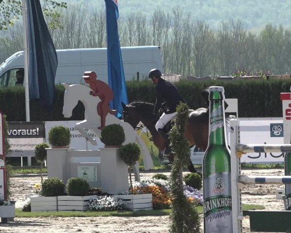 Lenklarer Reitertage 2019
