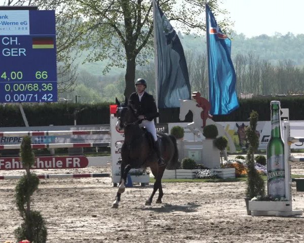 Reitturnier Werne-Lenklar 2019
