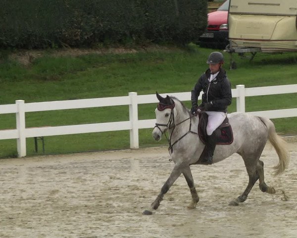 Reitturnier Leutkirch-Diepoldshofen 2019