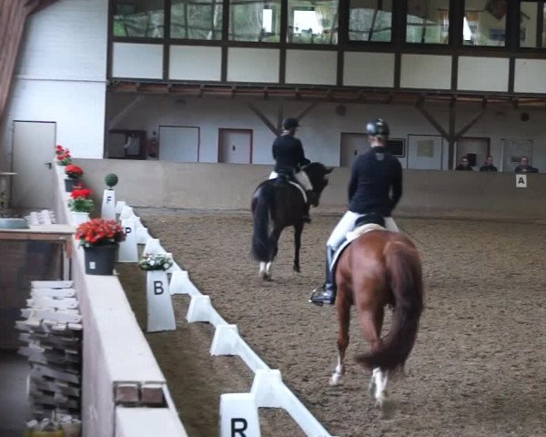 Reitturnier Kamen 2019