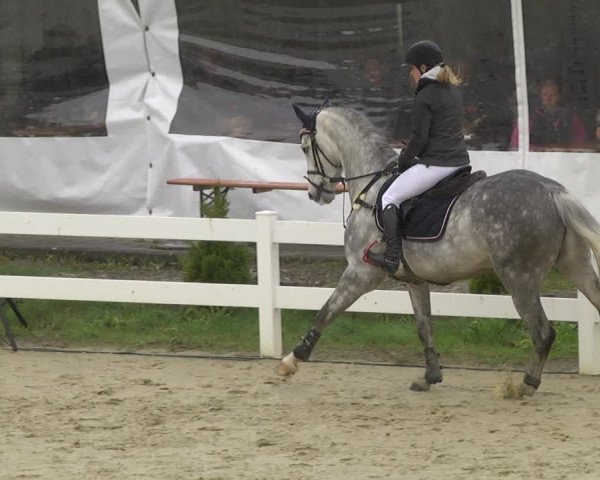 Reitturnier Leutkirch-Diepoldshofen 2019