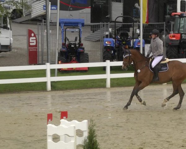 Reitturnier Leutkirch-Diepoldshofen 2019