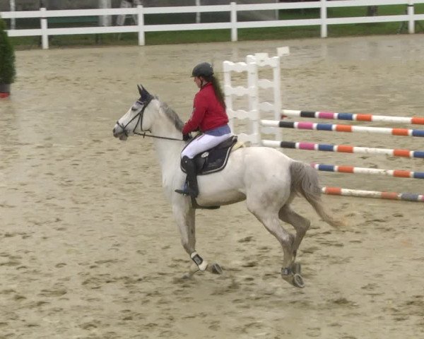 Reitturnier Leutkirch-Diepoldshofen 2019