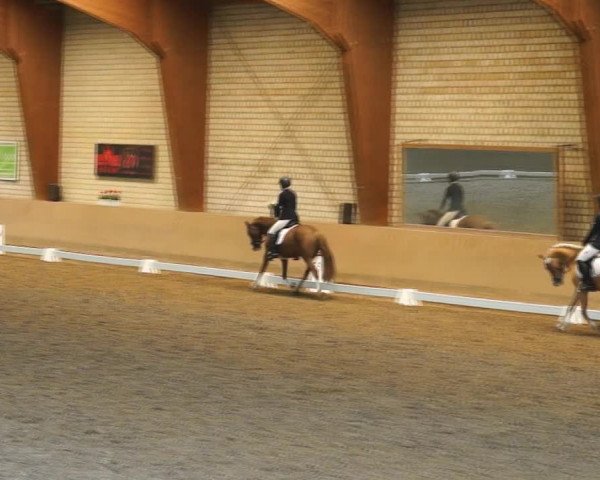 Reitturnier Kamen 2019