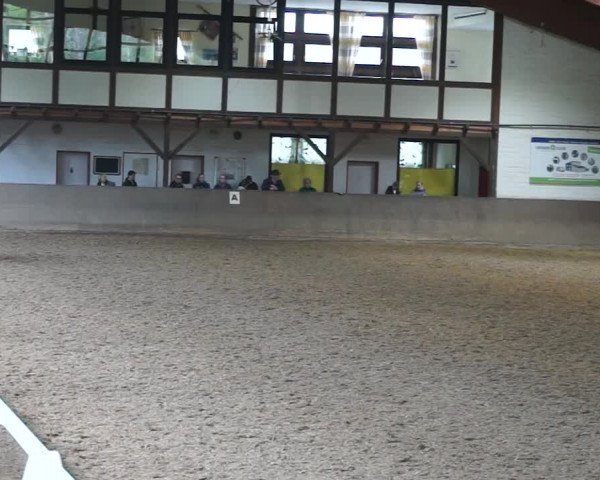 Reitturnier Kamen 2019