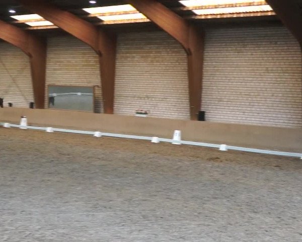 Reitturnier Kamen 2019