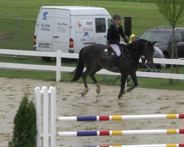 Reitturnier Leutkirch-Diepoldshofen 2019