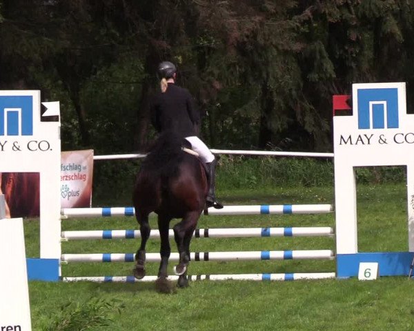 Reitturnier Meldorf 2019