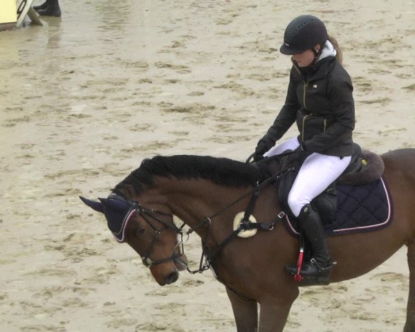 Reitturnier Leutkirch-Diepoldshofen 2019