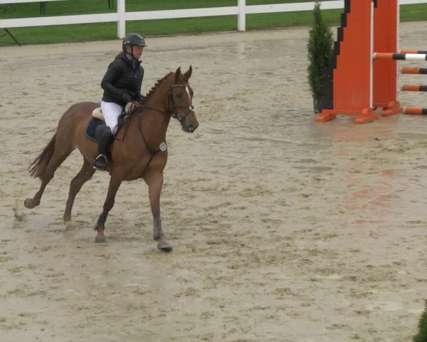 Reitturnier Leutkirch-Diepoldshofen 2019