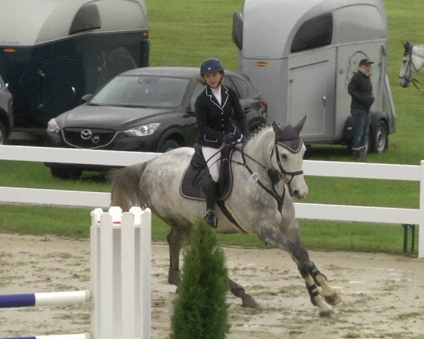 Reitturnier Leutkirch-Diepoldshofen 2019