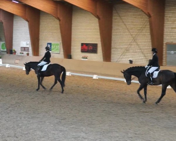 Reitturnier Kamen 2019
