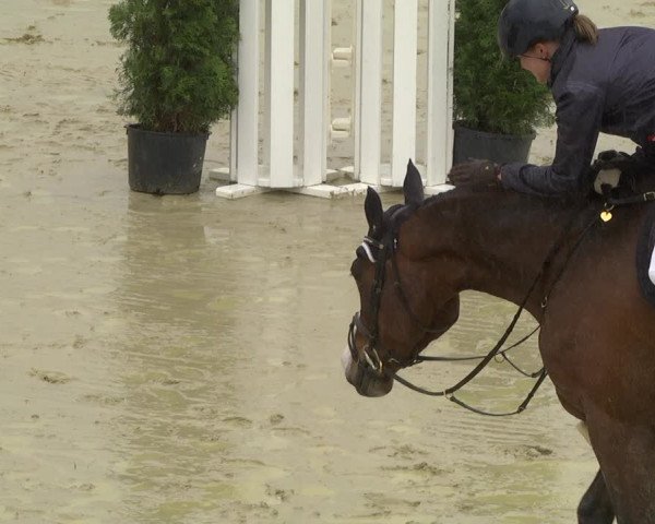 Reitturnier Leutkirch-Diepoldshofen 2019