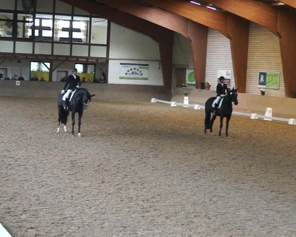 Reitturnier Kamen 2019