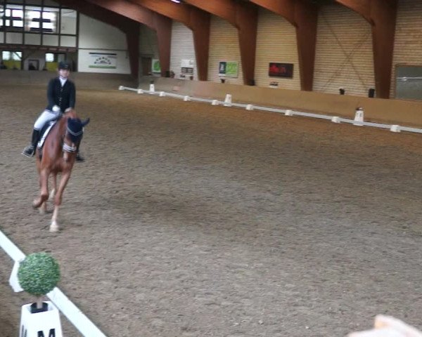 Reitturnier Kamen 2019
