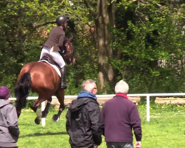 Reitturnier Meldorf 2019