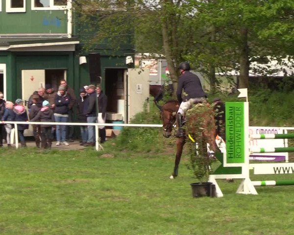 Reitturnier Meldorf 2019
