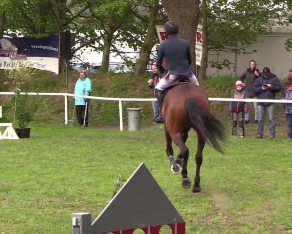 Reitturnier Meldorf 2019