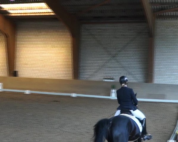 Reitturnier Kamen 2019