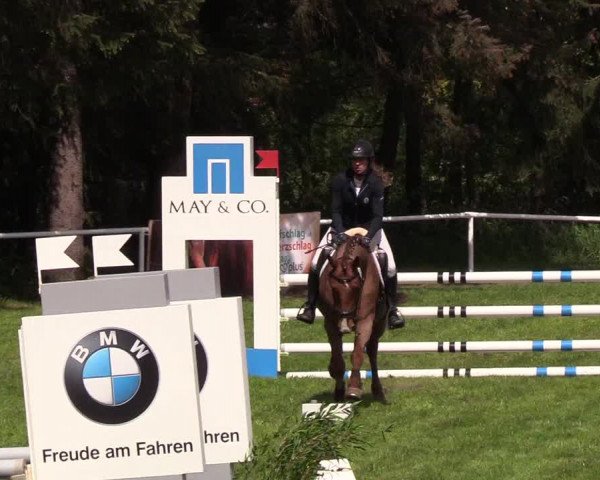 Reitturnier Meldorf 2019