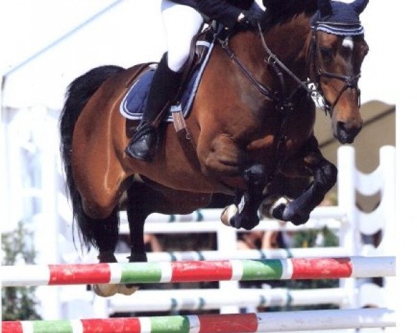broodmare Liberty 193 (Württemberger, 1996, from Lanthano)