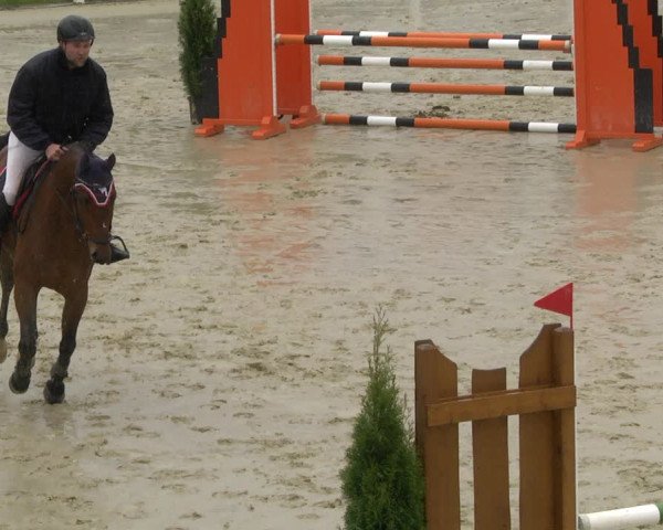 Reitturnier Leutkirch-Diepoldshofen 2019