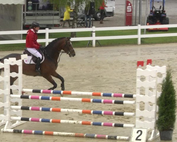 Reitturnier Leutkirch-Diepoldshofen 2019