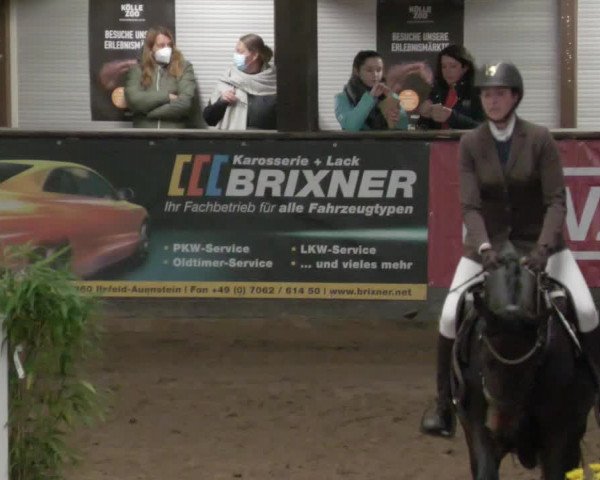 Reitturnier Heilbronn 2021