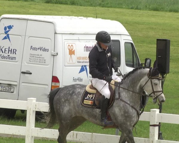 Reitturnier Leutkirch-Diepoldshofen 2019