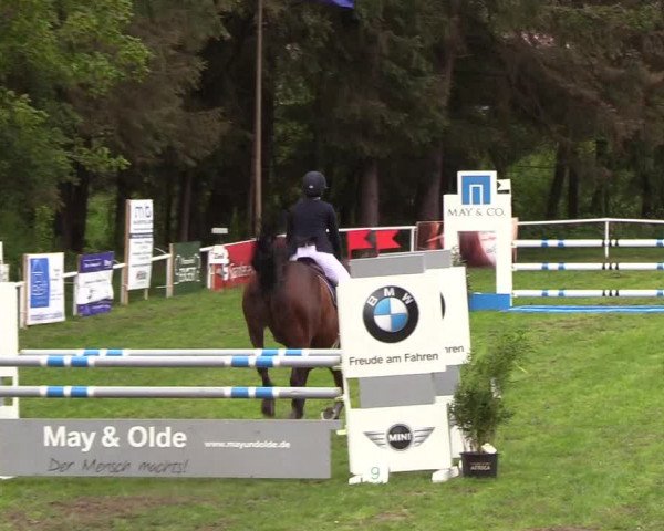 Reitturnier Meldorf 2019