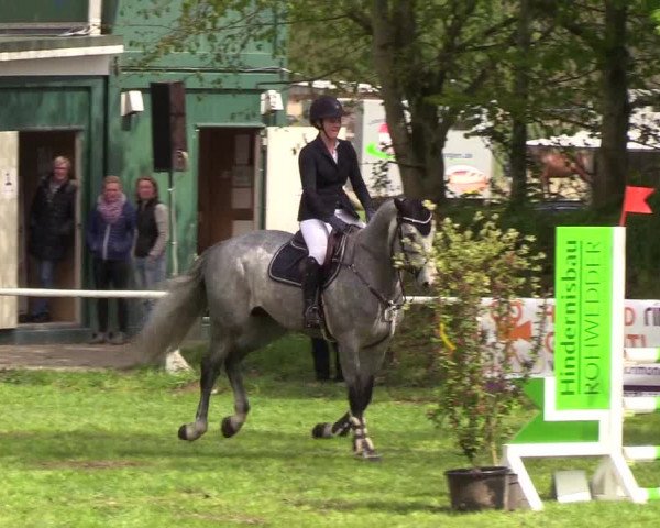 Reitturnier Meldorf 2019