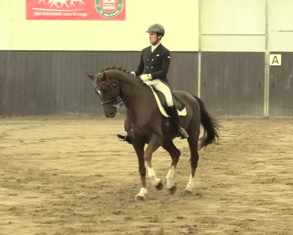 Reitturnier St. Peter Ording 2021