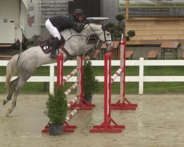 Reitturnier Leutkirch-Diepoldshofen 2019